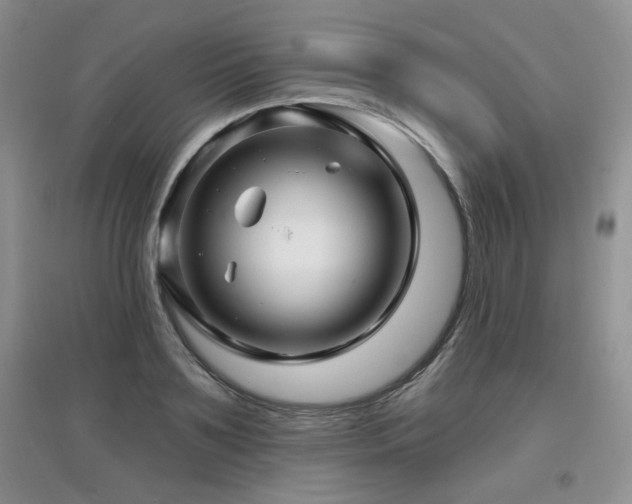X0000097870891200803141255