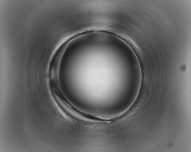 X0000097870894200803141255
