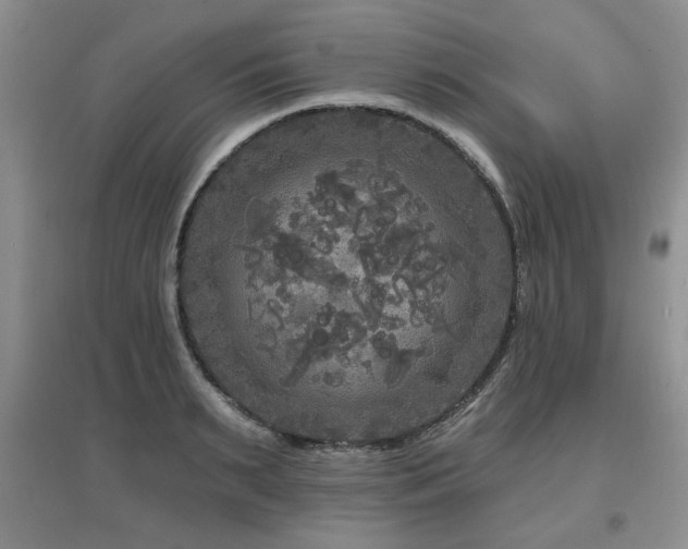 X0000097870895200803141255