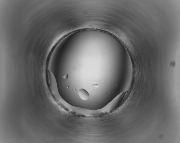 X0000097870896200803141255