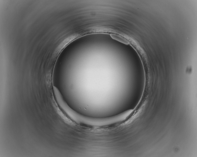 X0000097870897200803141255