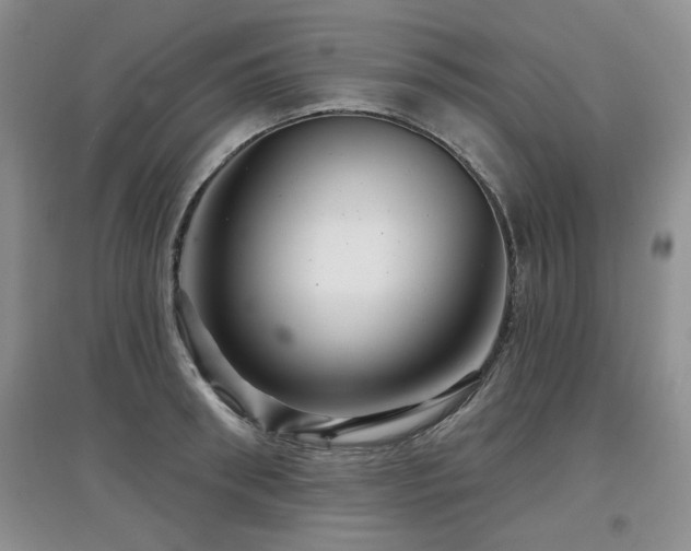 X0000097870898200803141255