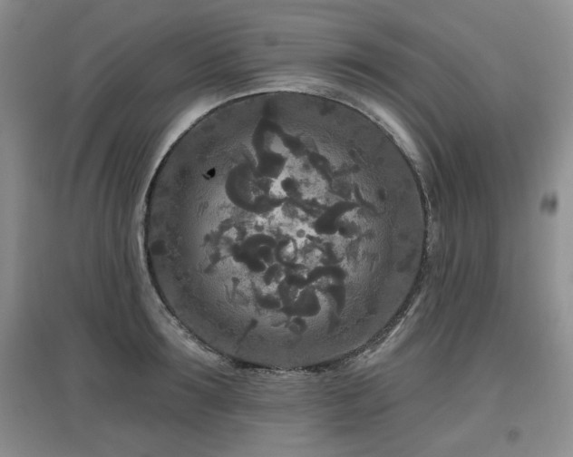 X0000097870899200803141255