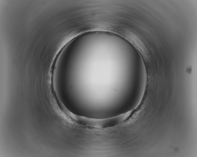 X0000097870900200803141255