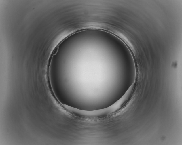 X0000097870901200803141255