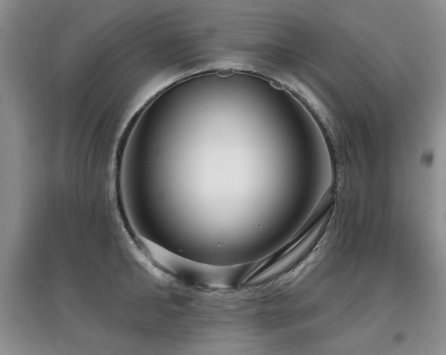 X0000097870902200803141255