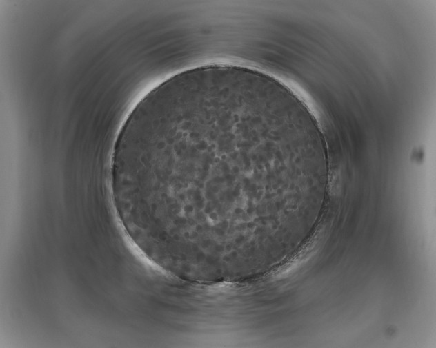 X0000097870903200803141255