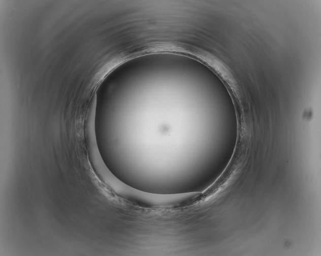 X0000097870905200803141255