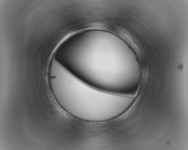 X0000097870908200803141255