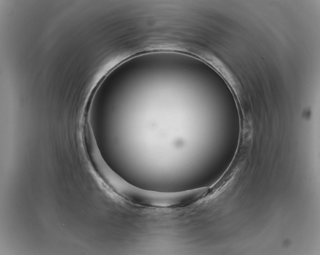 X0000097870909200803141255