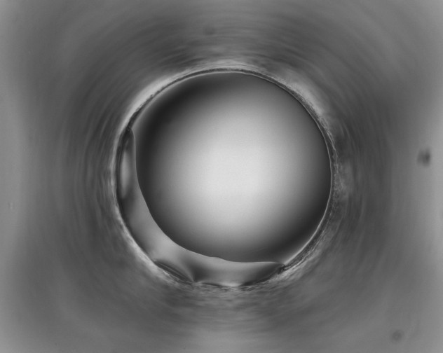 X0000097870910200803141255