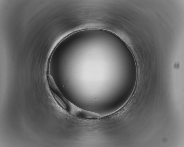 X0000097870912200803141255
