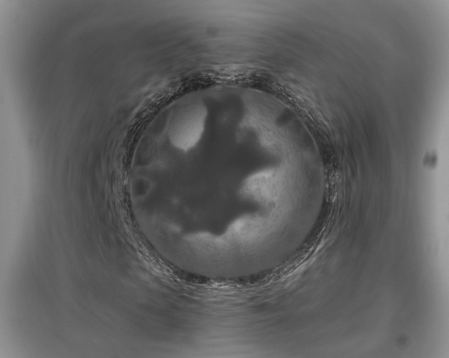 X0000097870913200803141254