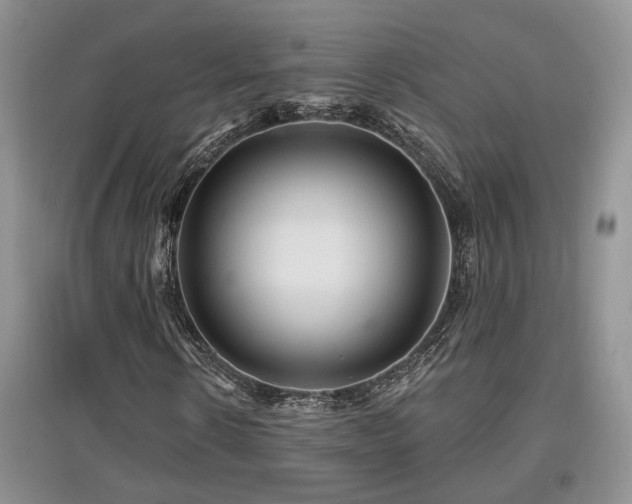 X0000097870914200803141254