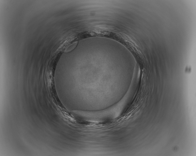 X0000097870915200803141254