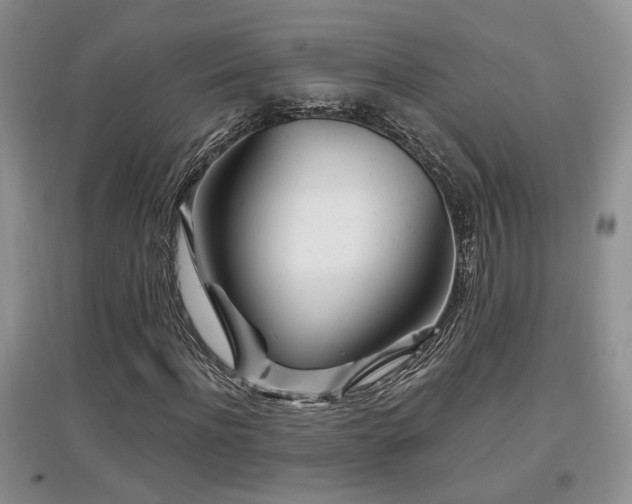 X0000097870916200803141254
