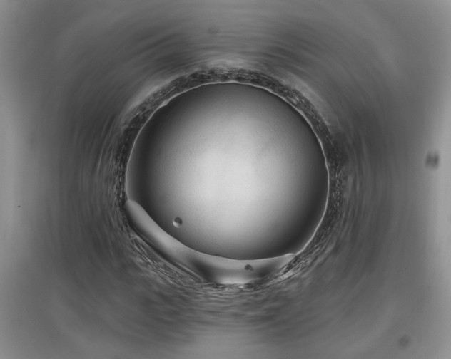 X0000097870919200803141254