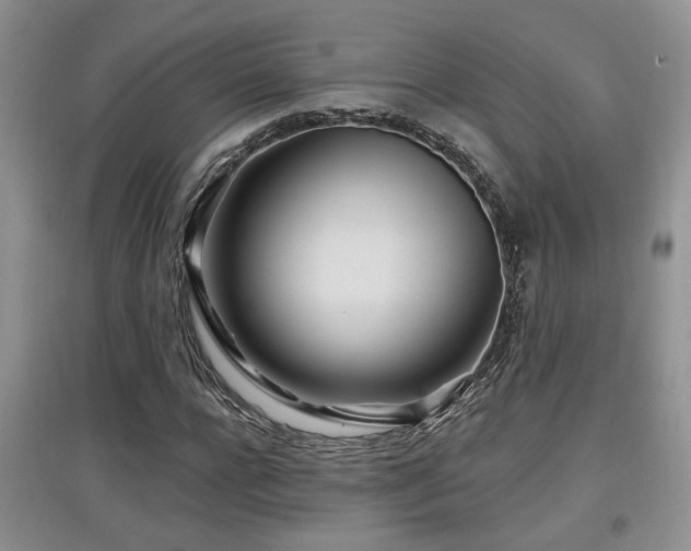 X0000097870920200803141254