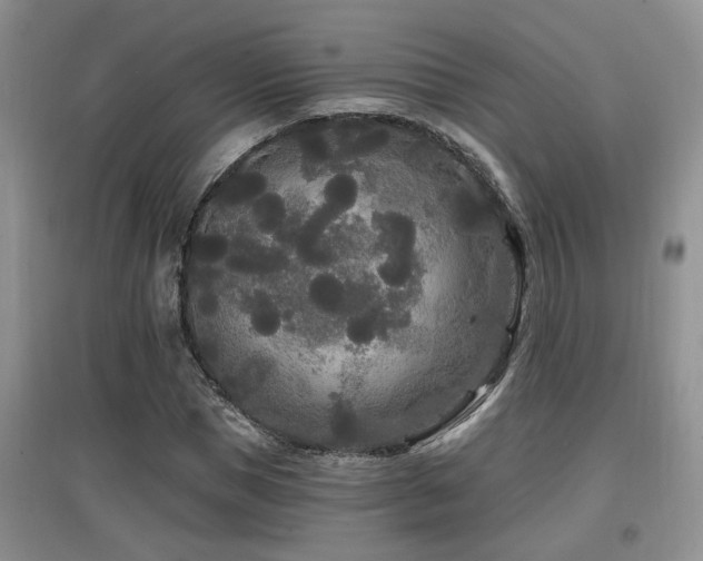 X0000097870921200803141254