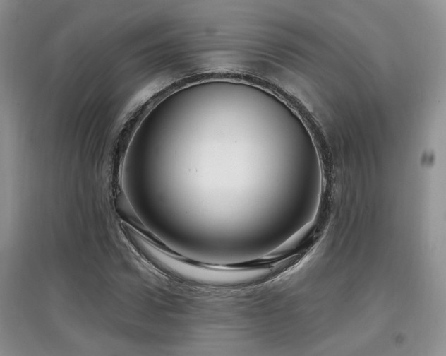 X0000097870922200803141254