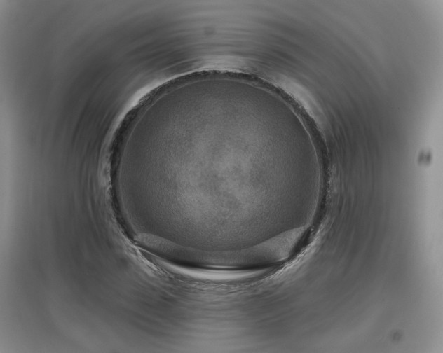 X0000097870923200803141254