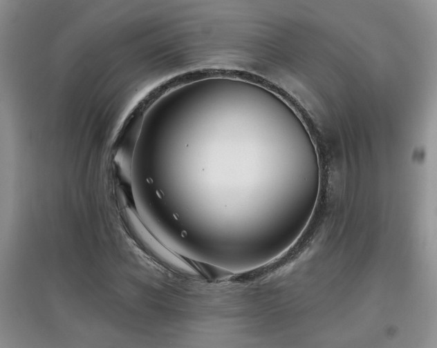 X0000097870926200803141255