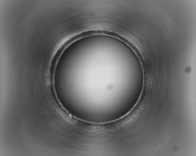 X0000097870927200803141255