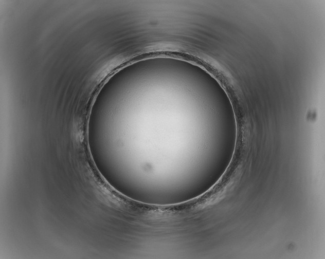 X0000097870929200803141255