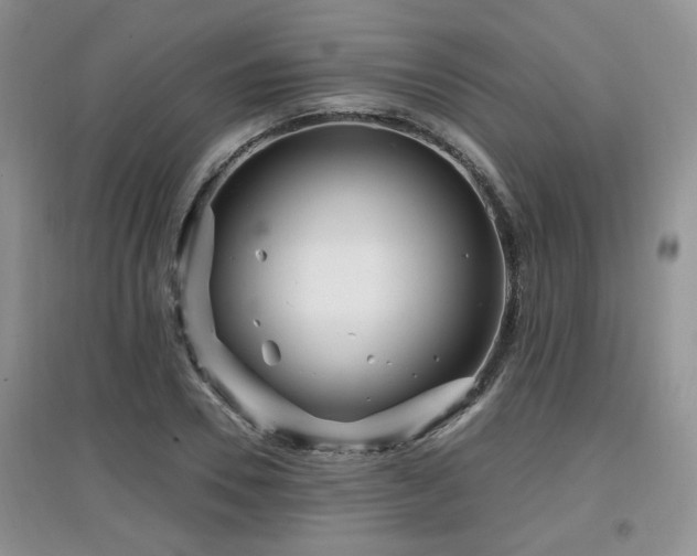 X0000097870930200803141255
