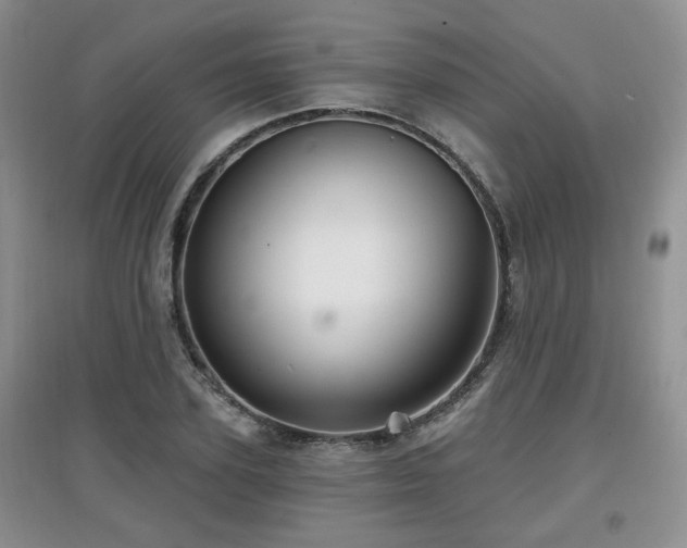 X0000097870931200803141255