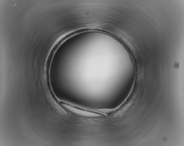 X0000097870932200803141255
