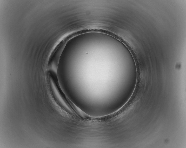 X0000097870934200803141255