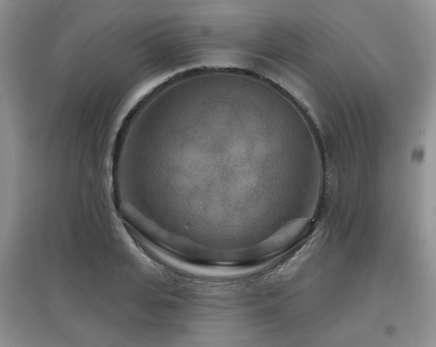 X0000097870935200803141255