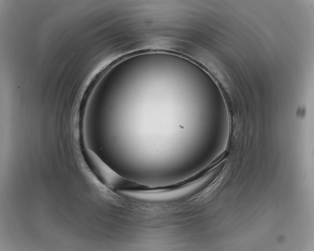 X0000097870939200803141255