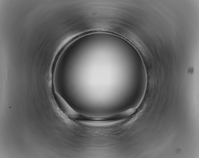 X0000097870940200803141255
