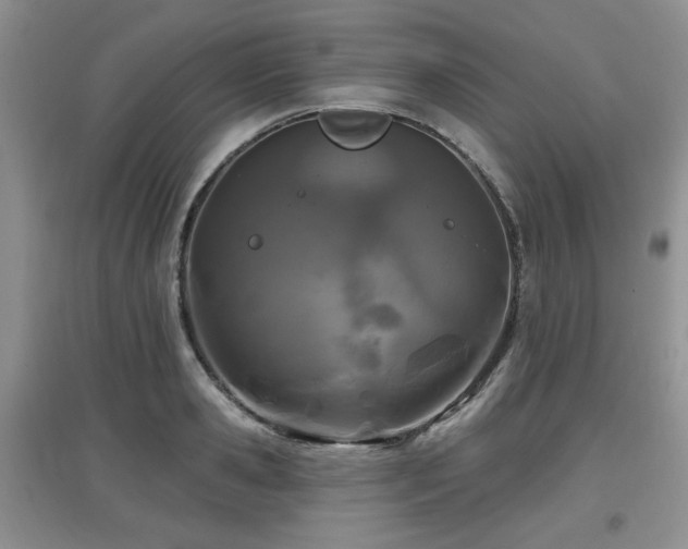 X0000097870941200803141255