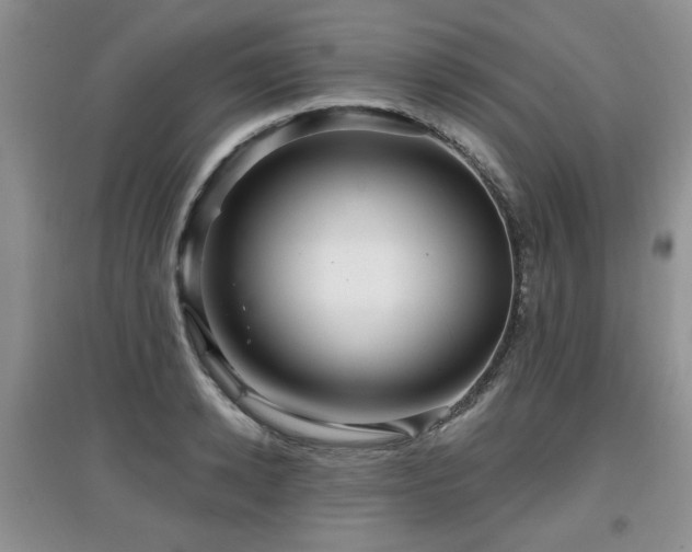 X0000097870942200803141255