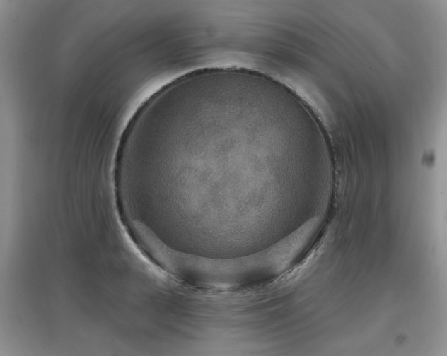 X0000097870943200803141255