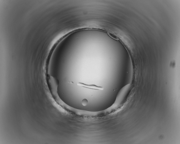 X0000097870944200803141255
