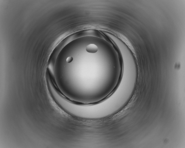 X0000097870946200803141255