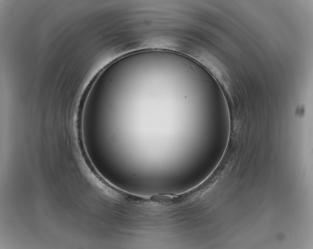 X0000097870947200803141255