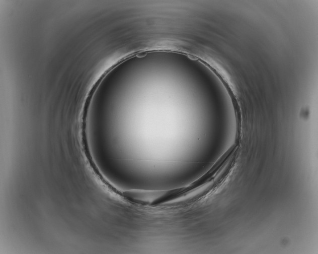 X0000097870949200803141255