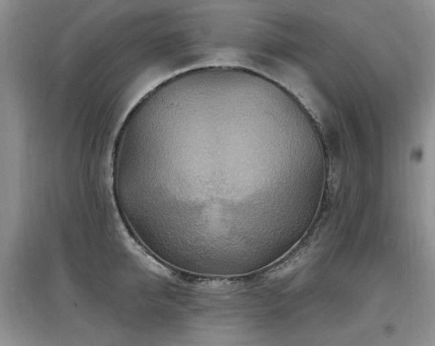 X0000097870950200803141255