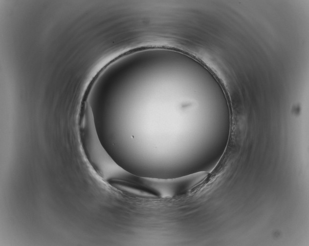 X0000097870951200803141255