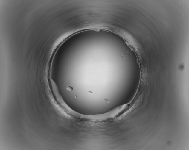 X0000097870952200803141255