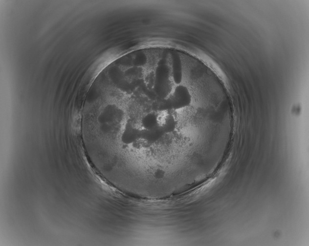 X0000097870953200803141255