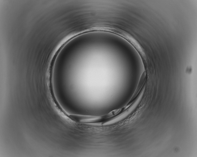 X0000097870955200803141255