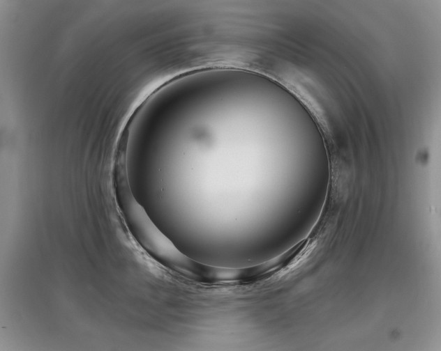 X0000097870956200803141255