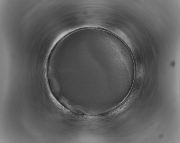 X0000097870958200803141255