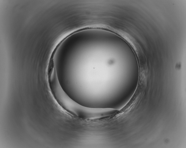 X0000097870959200803141255